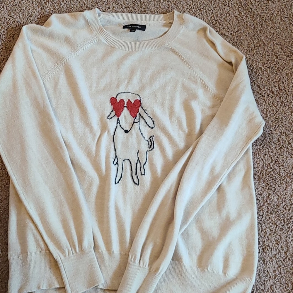 Doggy sweater